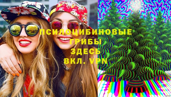 apvp Армянск