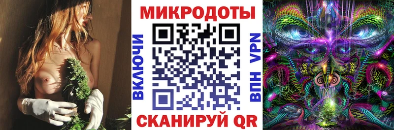 дарк нет какой сайт  Новоузенск  Псилоцибиновые грибы Cubensis 